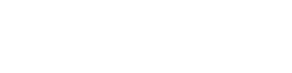Brooklyn Nets